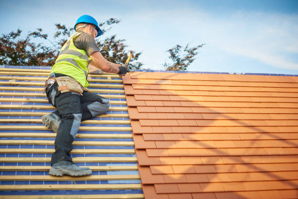 Best Green or Eco-Friendly Roofing Solutions  in Wilmington Manor, DE